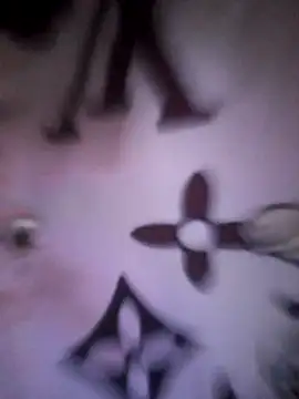 -Tara-a webcam