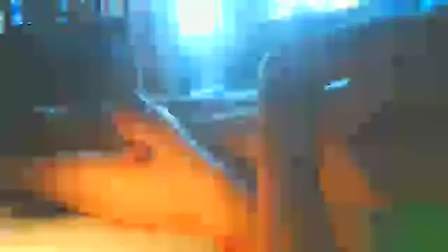 BlnAktivGay webcam