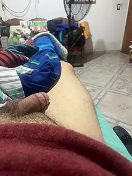 venteveo1 webcam