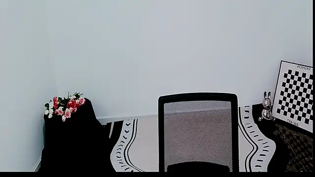 QS-05 webcam