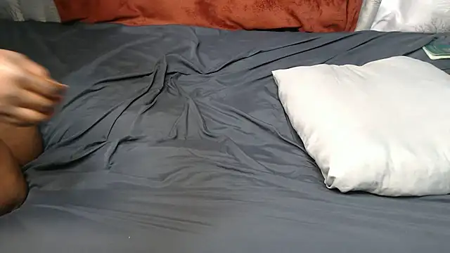 WEPUSSY23XX webcam