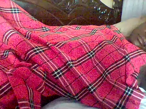 missarpie webcam