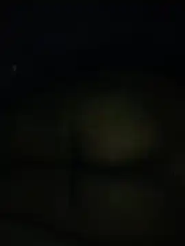 sexy_king4 (M young) - have fun and cum🍑💦
