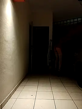 transreyna webcam