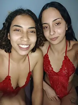 AsLince webcam