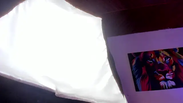 Abby_Snow_ webcam