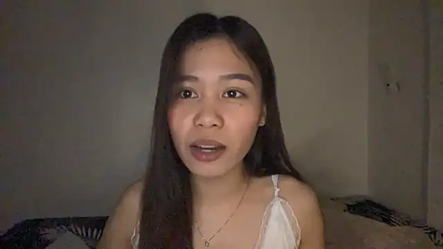 shachihexa webcam
