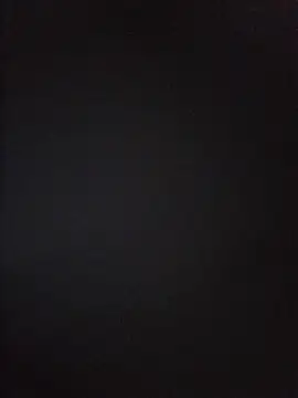 Nidge251 webcam