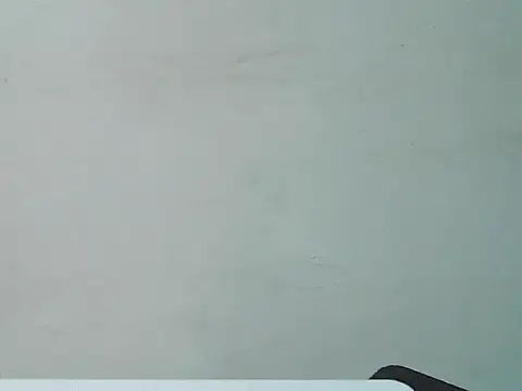 verg01 webcam