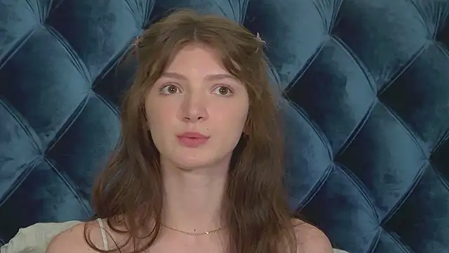 SophiaProve webcam