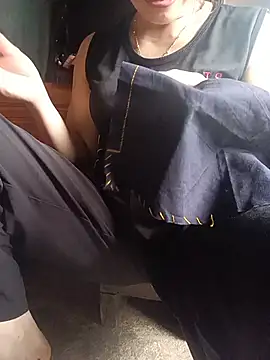 Stella-456 webcam