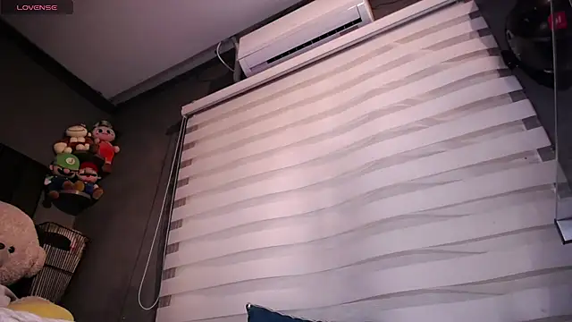 dirty_27cms webcam