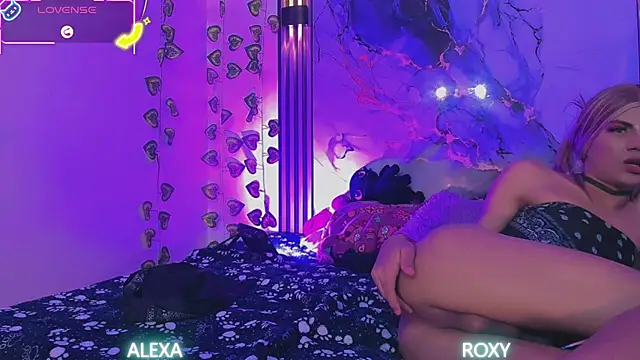 Roxy_alexa webcam