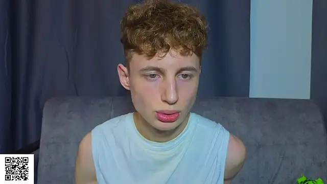 crispinver webcam