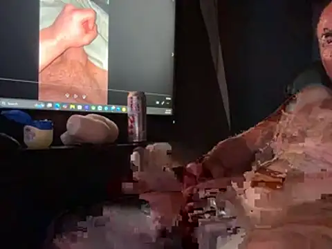 Ragnarrodbrok webcam