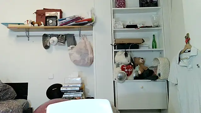 PersianAbs webcam