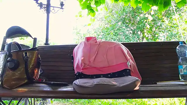 BigLabia_PublicPark webcam