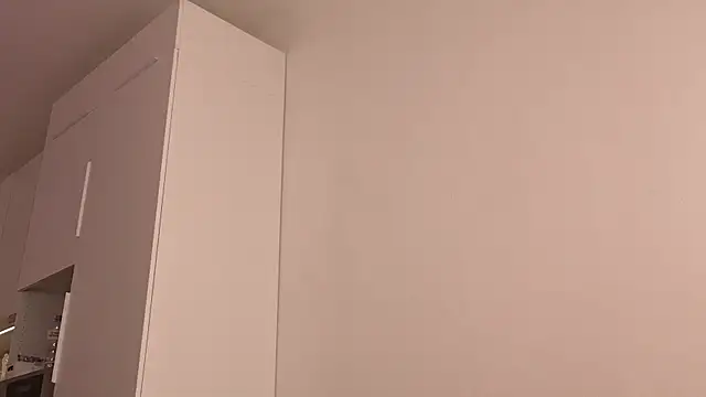brightmuffin webcam