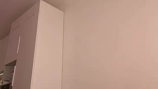 brightmuffin webcam