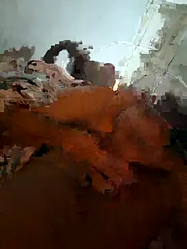 zimankerohot webcam
