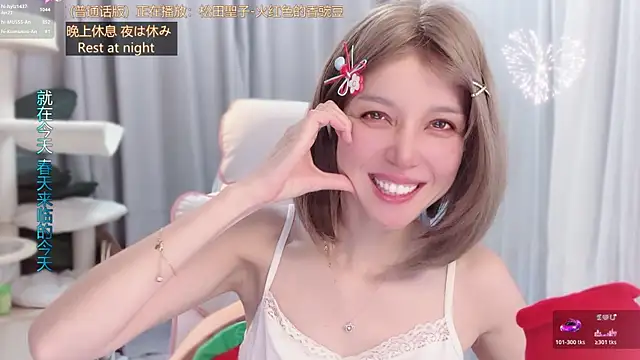 hi-AnAn webcam