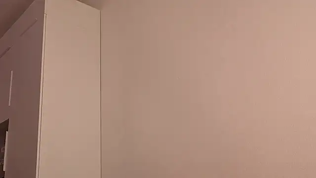brightmuffin webcam