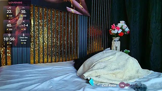 perfectmatch_ webcam