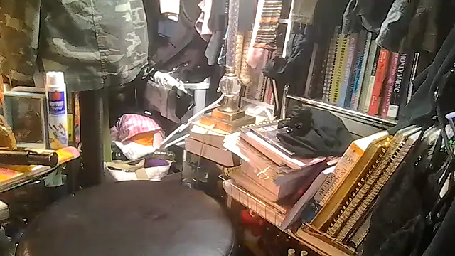 ShysluutGia webcam