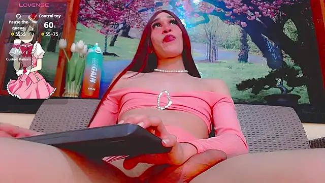 britanny_noroeste webcam