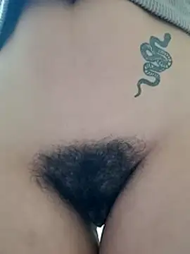 molymeneses webcam