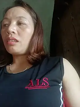 Stella-456 webcam