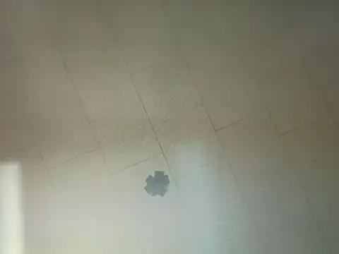 sterng6969 webcam