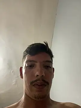 Wendelolive webcam