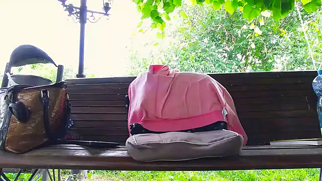 BigLabia_PublicPark webcam