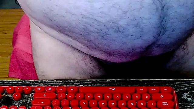 BIG_FAT_BEAR webcam