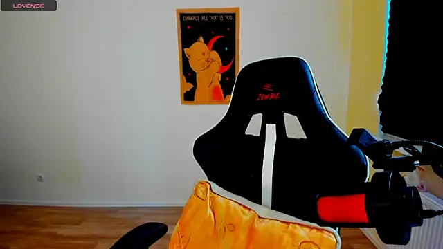your_tora webcam