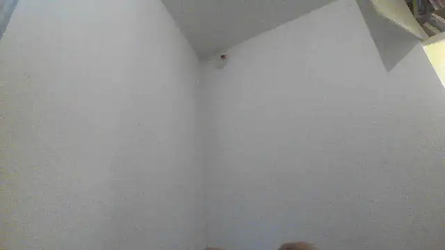 Andrei_maestro webcam