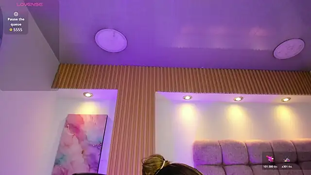 1Sloppy_Fox4 webcam