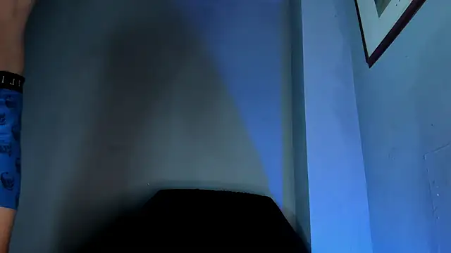 Travisttanner28 webcam