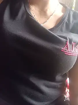 Stella-456 webcam