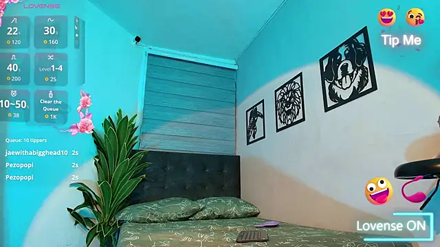 velory_fire webcam