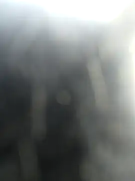 DesiboyMBJ2026 webcam