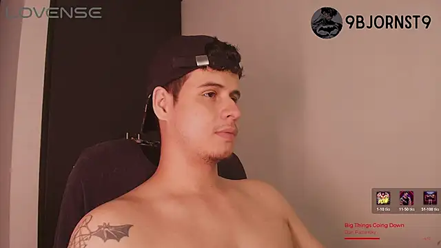 BjornSteel webcam