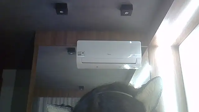 SkinnyKitten live cam on StripChat