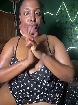 Sollybunny webcam