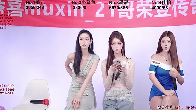STY_0089 webcam