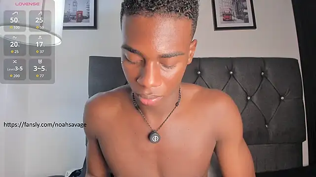 noah_johes webcam