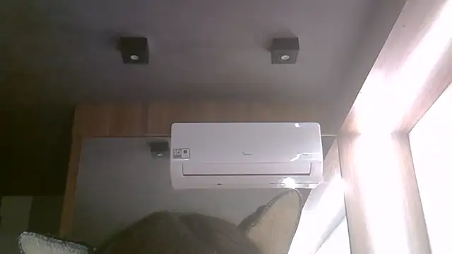 SkinnyKitten webcam