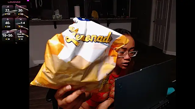 ReeseZen webcam