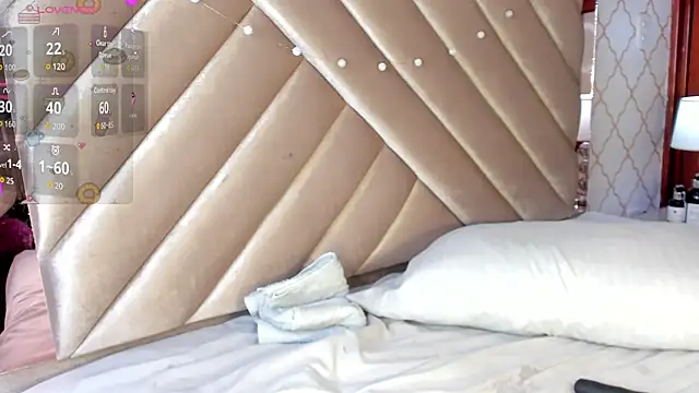 KaelSoft_ webcam